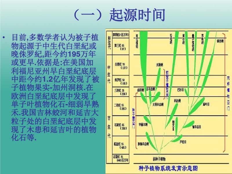 被子植物的起源..pdf_第3页