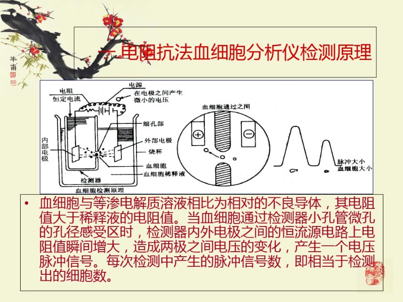 血常规直方图解析.pdf_第2页