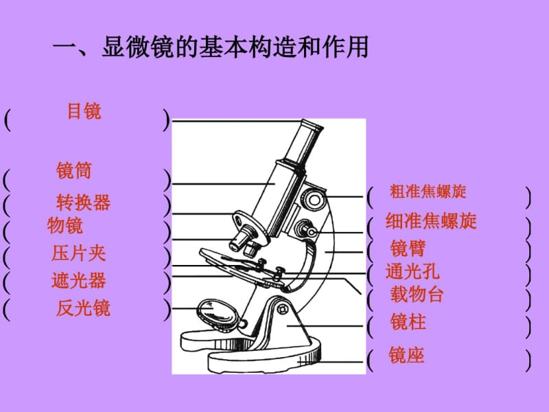 2018中考专题复习课件：细胞是生命活动的基本单位(共30张PPT).pdf_第3页