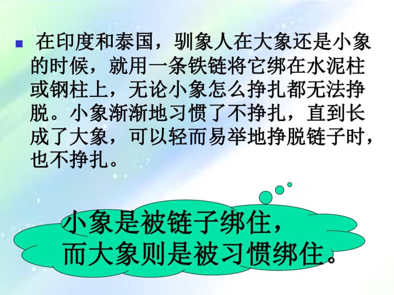 小学生习惯养成主题班会.pdf_第3页