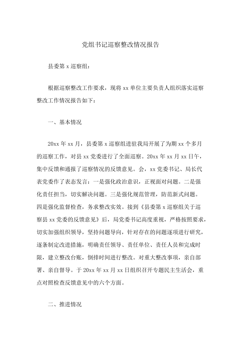 党组书记巡察整改情况报告.docx_第1页