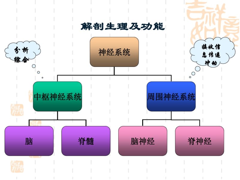 神经系统疾病病人常见症状体征的护理.pdf_第1页