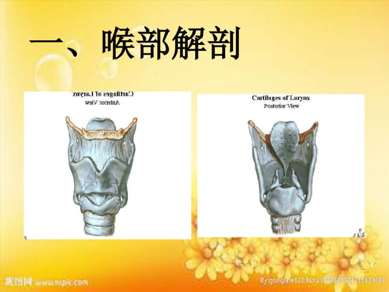 气管插管操作流程图文.pdf_第2页