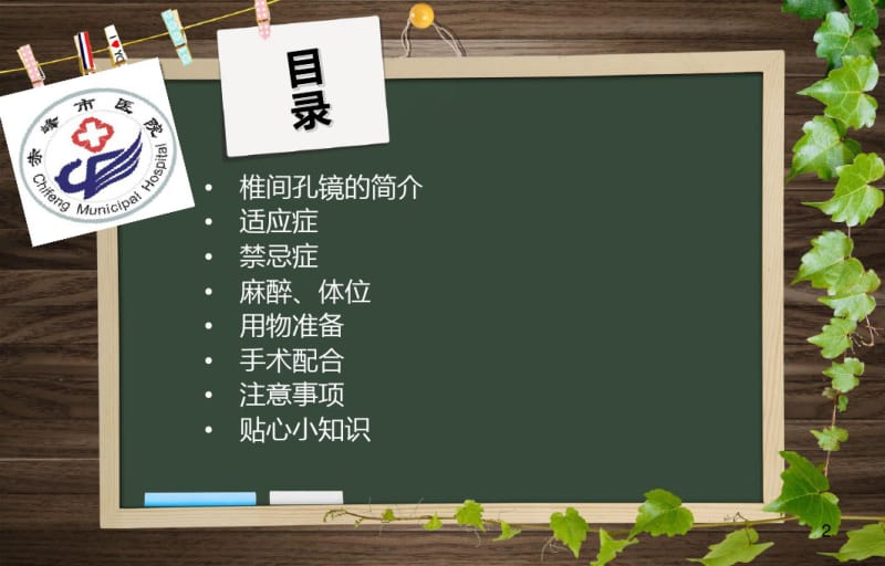 椎间孔镜手术配合课件.pdf_第2页