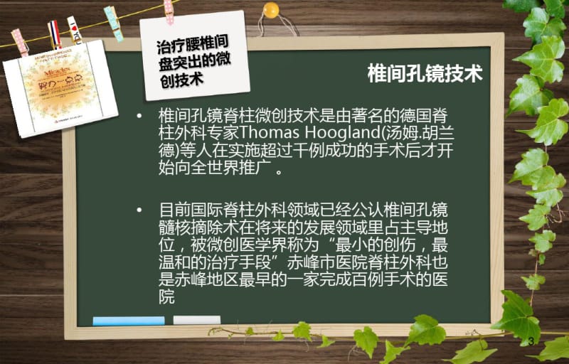 椎间孔镜手术配合课件.pdf_第3页