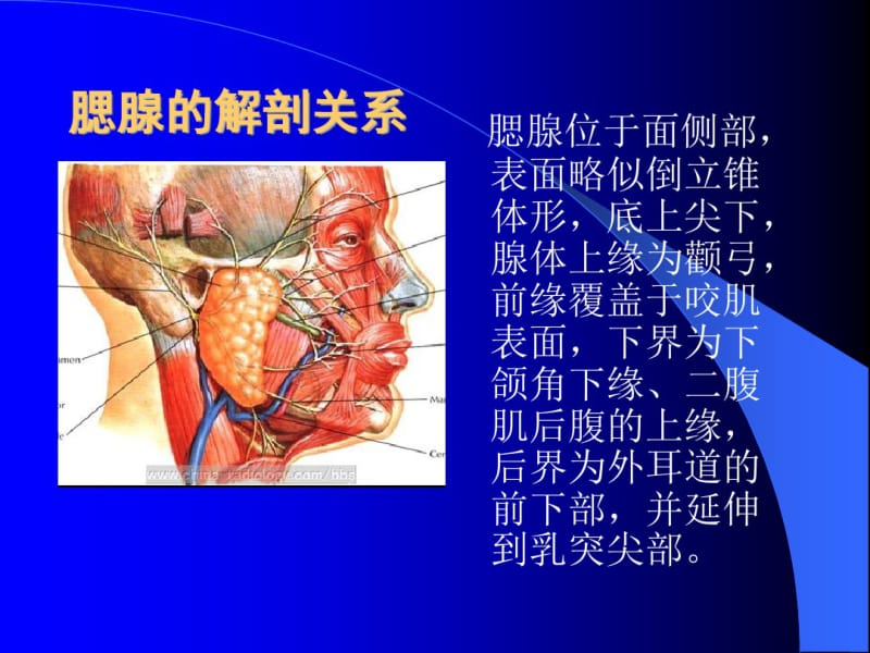 腮腺肿瘤的诊断和治疗.pdf_第2页