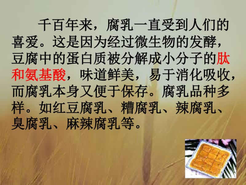 腐乳的制作课件.pdf_第1页