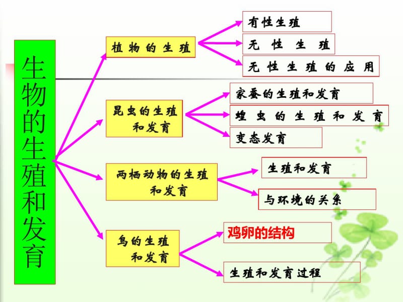 2018春人教版八年级生物下册期末复习课件共74张PPT.pdf_第2页