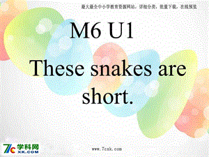 外研版（一起）一下Module 6《Unit 1 These snakes are short》ppt课件3.ppt