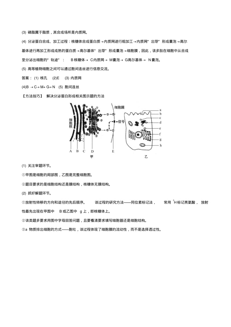 2019届高考生物一轮复习第二单元细胞的基本结构与物质运输第2课细胞器和生物膜系统高效演练创新预测新人教.pdf_第3页