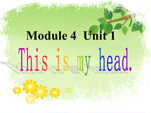 外研版（一起）一下Module 4《Unit 1 This is my head》ppt课件3.ppt