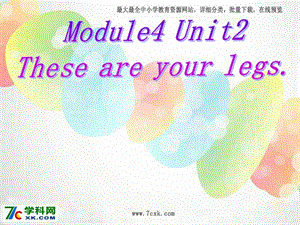 外研版（一起）一下Module 4《Unit 2 These are your legs》ppt课件2.ppt