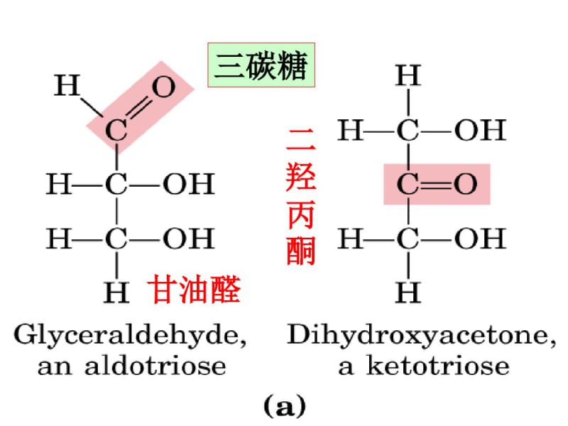 第1节细胞的化学成分.pdf_第3页