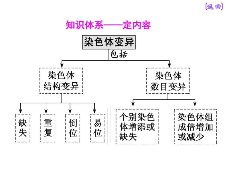 第二讲染色体变异与生物育种.pdf_第3页