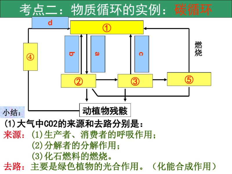 生态系统的物质循环(一轮复习).pdf_第3页