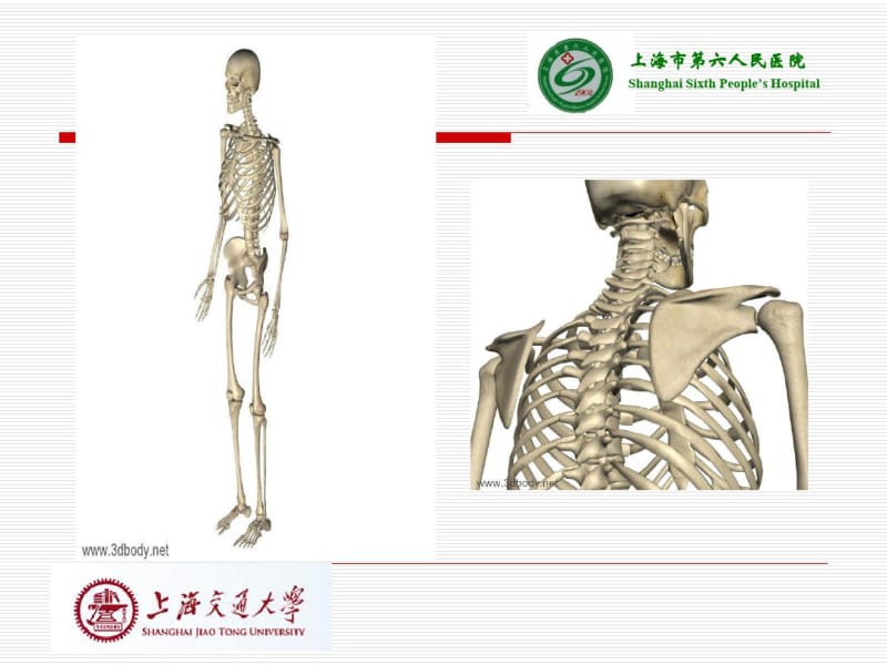 颈椎病认识和治疗.pdf_第3页