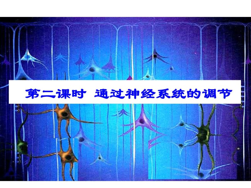 高三生物一轮复习-神经调节.pdf_第2页