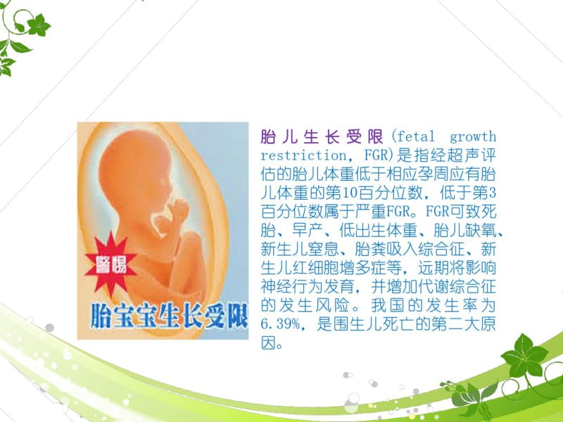 胎儿生长受限最新指南和共识.pdf_第2页