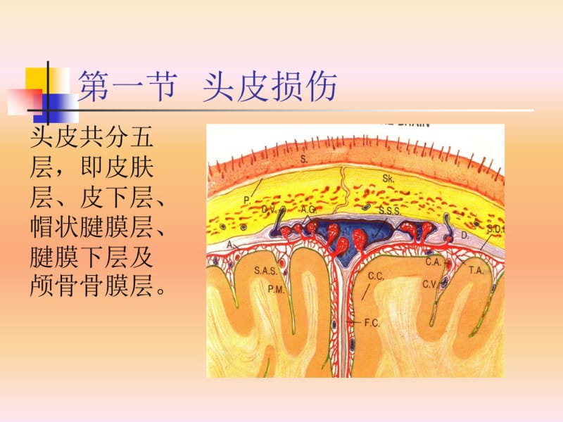 颅脑损伤课件.pdf_第3页