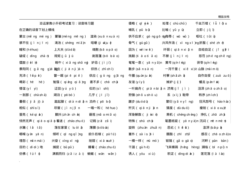 小升初语文基础知识练习.pdf_第1页