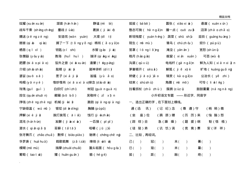 小升初语文基础知识练习.pdf_第2页