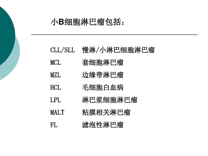 小B细胞淋巴瘤的诊断、鉴别与治疗.pdf_第2页