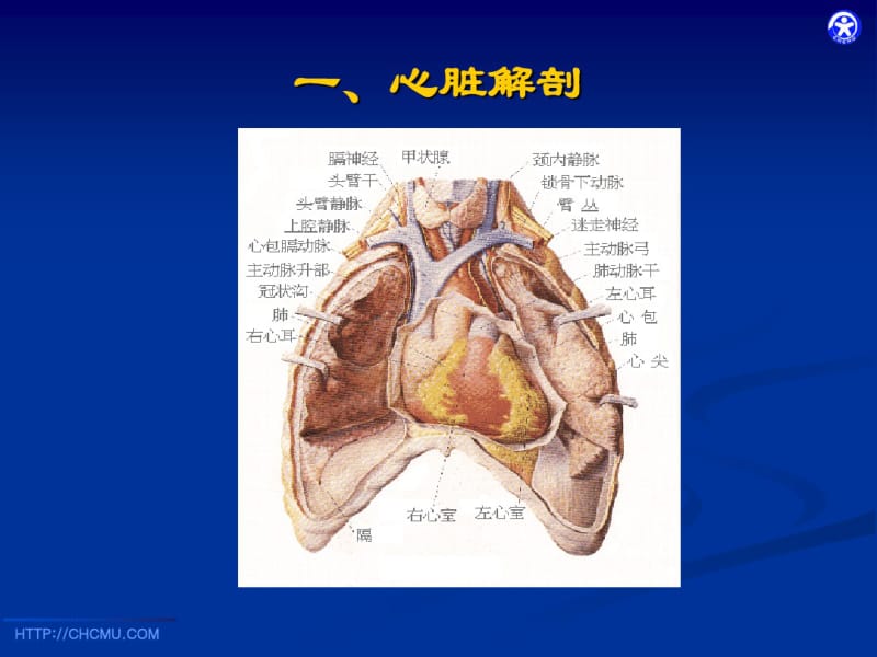 小儿先天性心脏病超声诊断.pdf_第3页