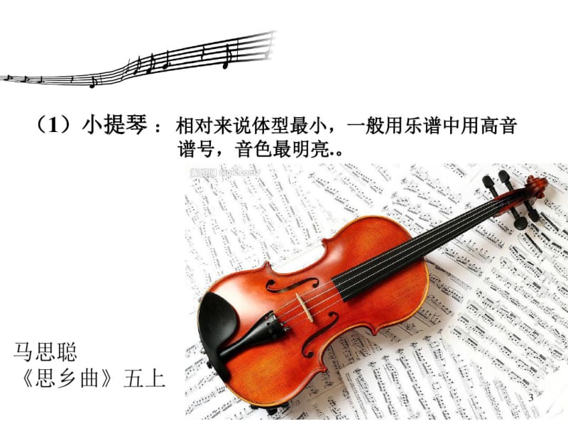 中外乐器介绍及器乐作品欣赏(演示)课件.pdf_第3页