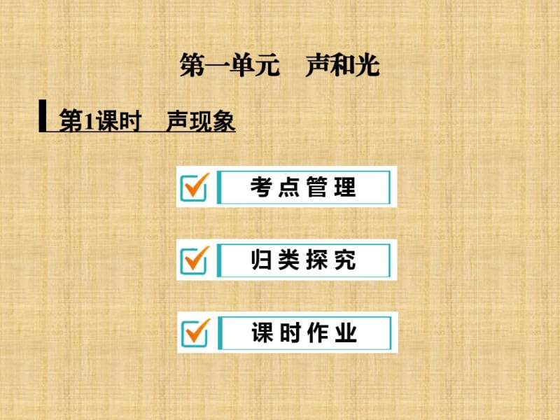 九年级中考物理复习专题《声现象》课件(共23张).pdf_第1页