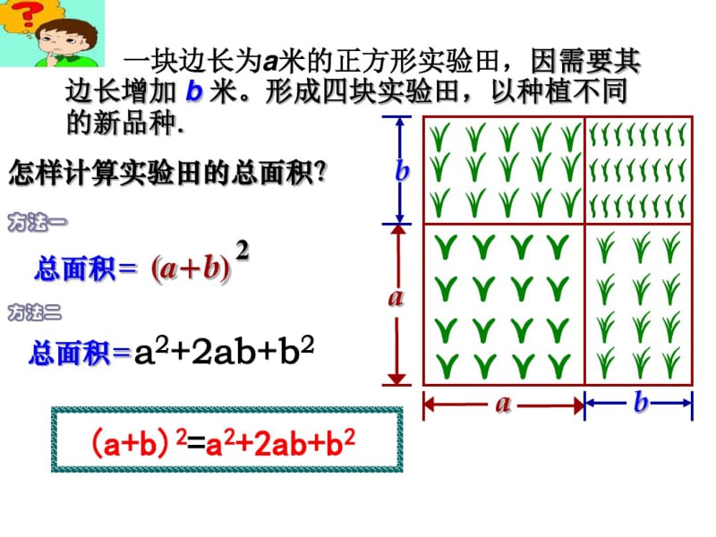 七年级数学下册：94乘法公式课件(共24张).pdf_第2页