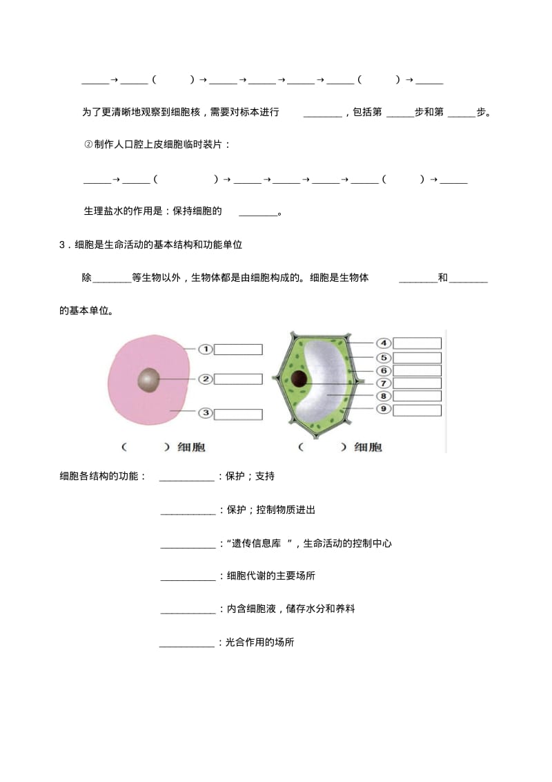 中考生物生物体的结构层次知识点练习.pdf_第2页