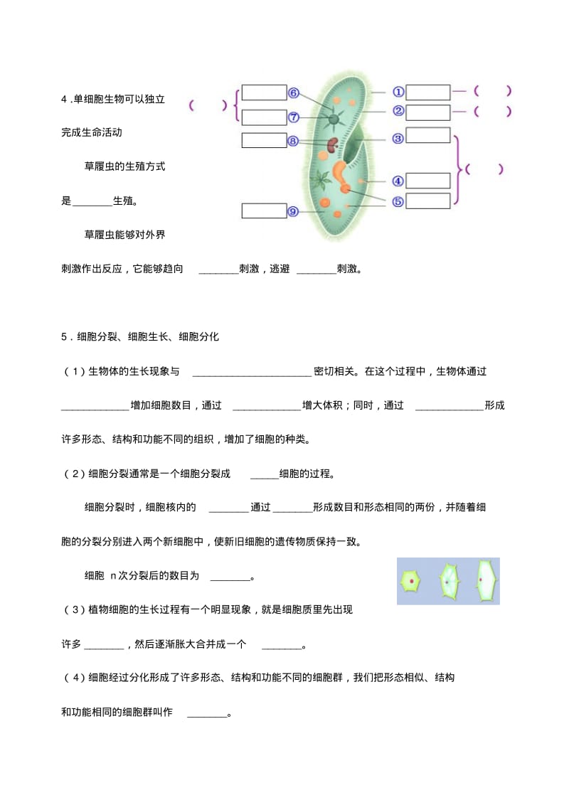 中考生物生物体的结构层次知识点练习.pdf_第3页