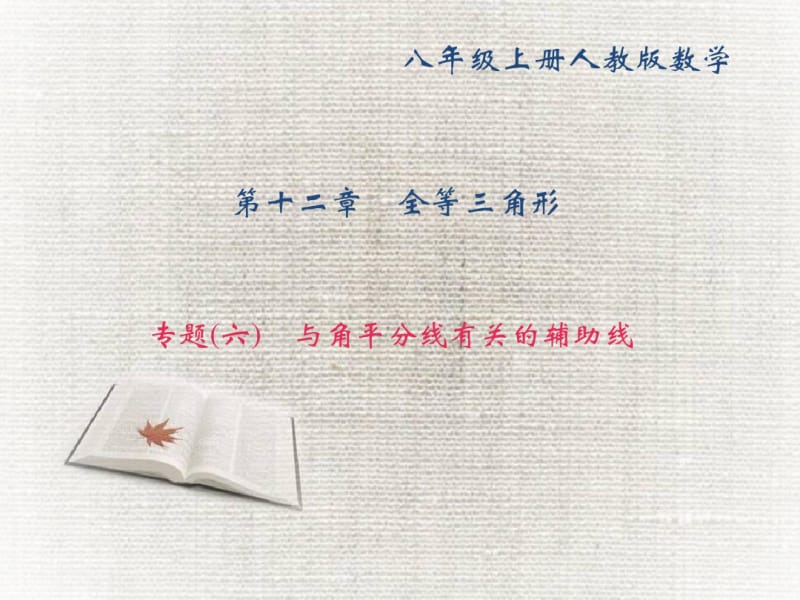 八年级数学上册专题(六)与角平分线有关的辅助线.pdf_第1页