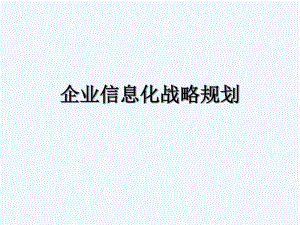 企业信息化战略规划.pdf