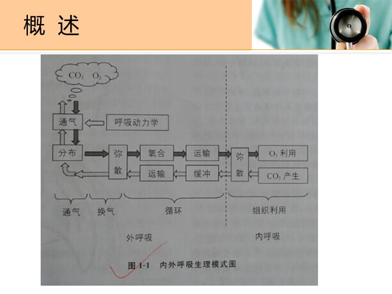 儿科给氧疗法.ppt_第3页