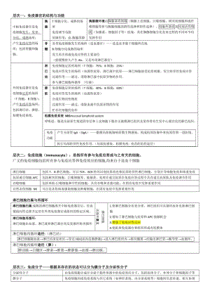 免疫器官的结构 细胞(结构基础) 叶圣龙.doc