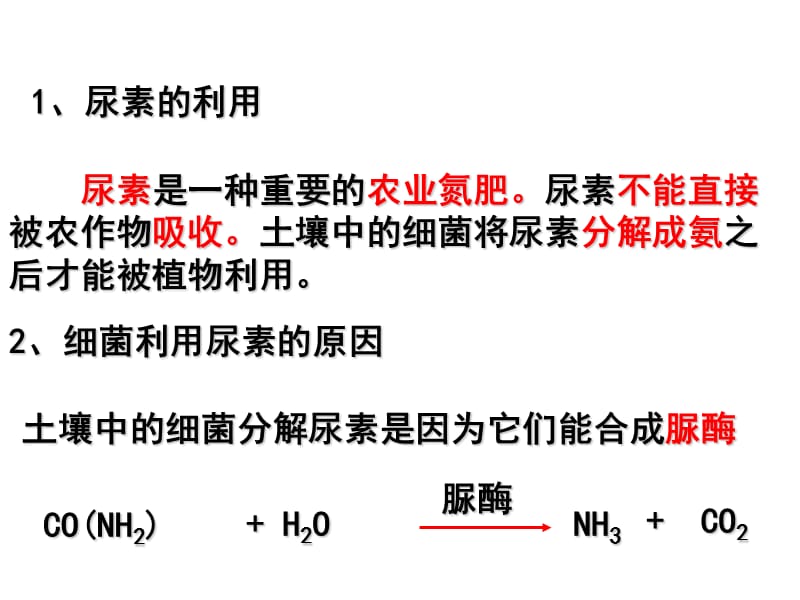 2.2 分解尿素的细菌.ppt_第2页