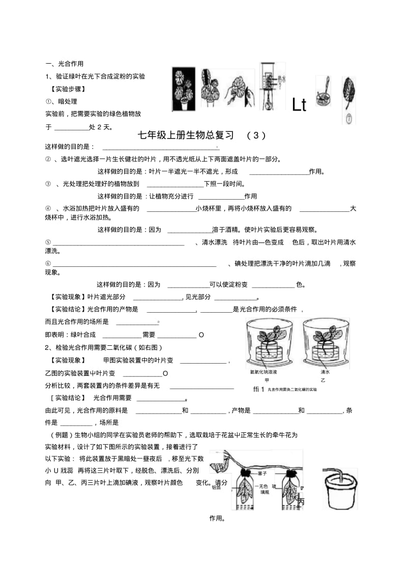 7上总复习基础知识2.doc.pdf_第1页