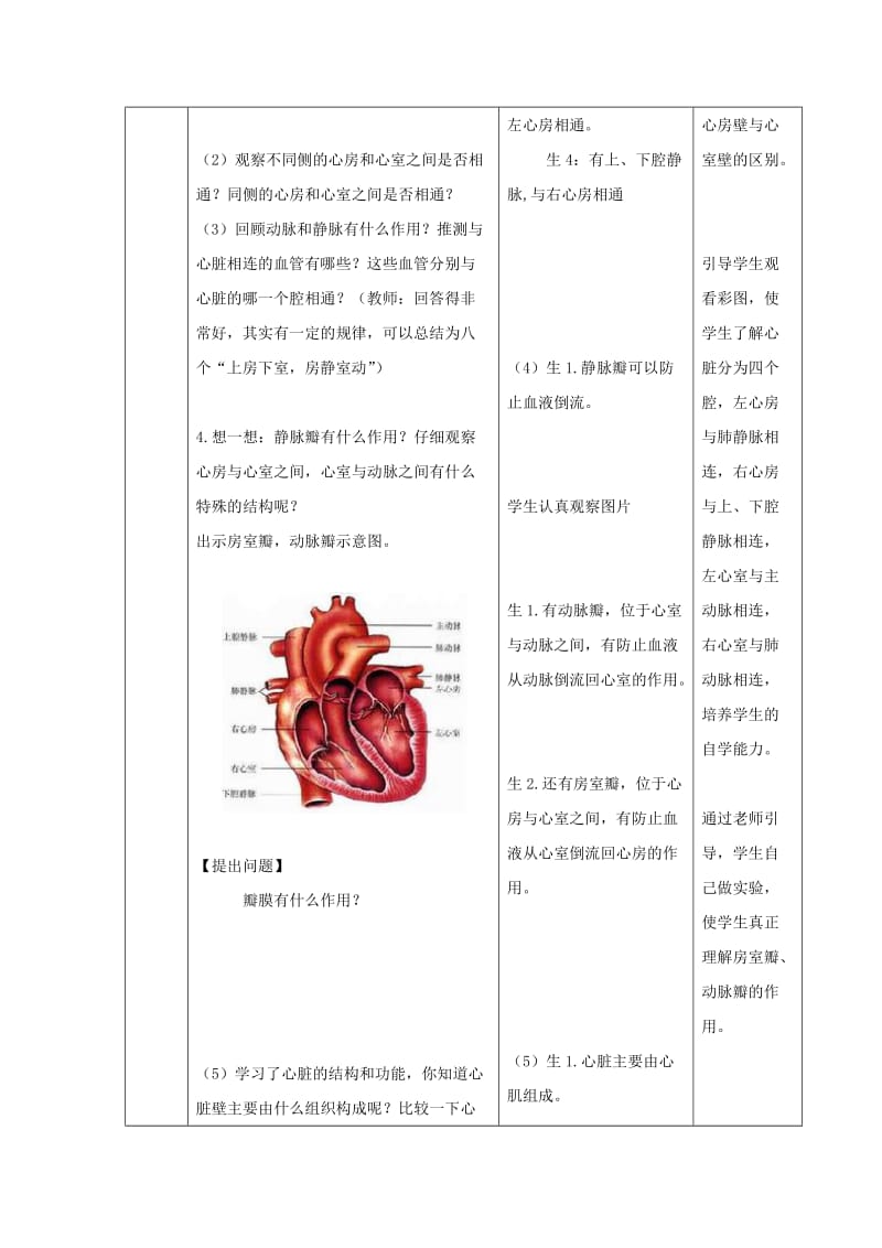 物质运输的器官心脏教学设计.doc_第3页