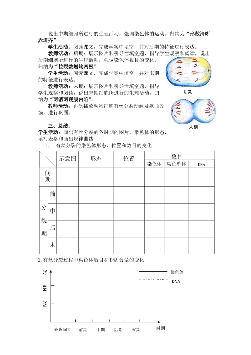 细胞增殖教案.doc_第3页