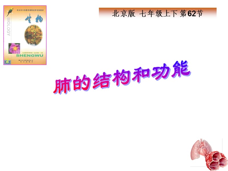 肺的结构和功能.ppt_第1页