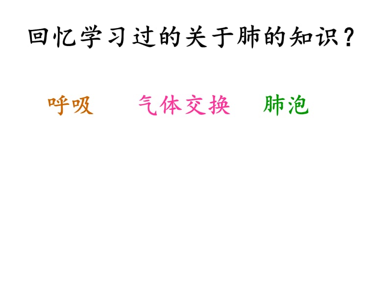 肺的结构和功能.ppt_第3页