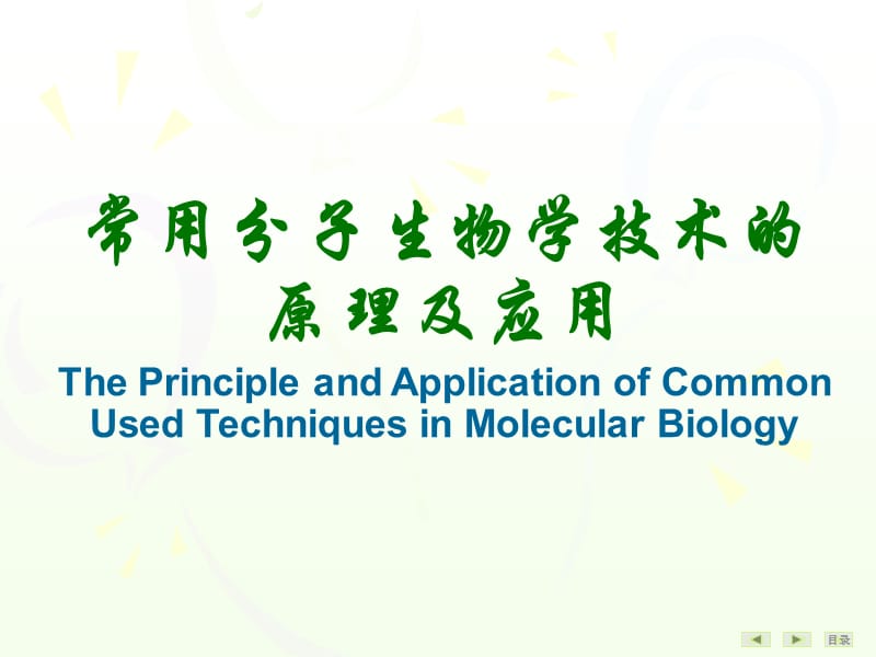 常用分子生物学技术的原理及应用.ppt_第1页