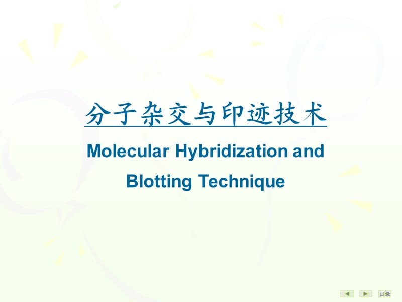 常用分子生物学技术的原理及应用.ppt_第2页