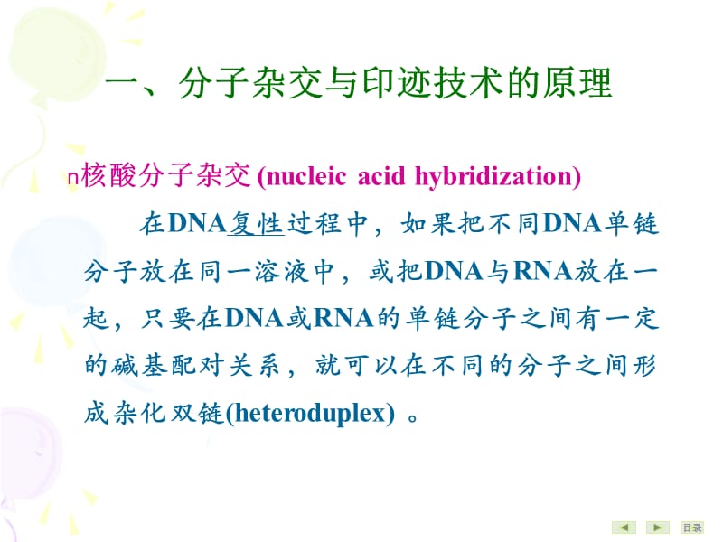 常用分子生物学技术的原理及应用.ppt_第3页