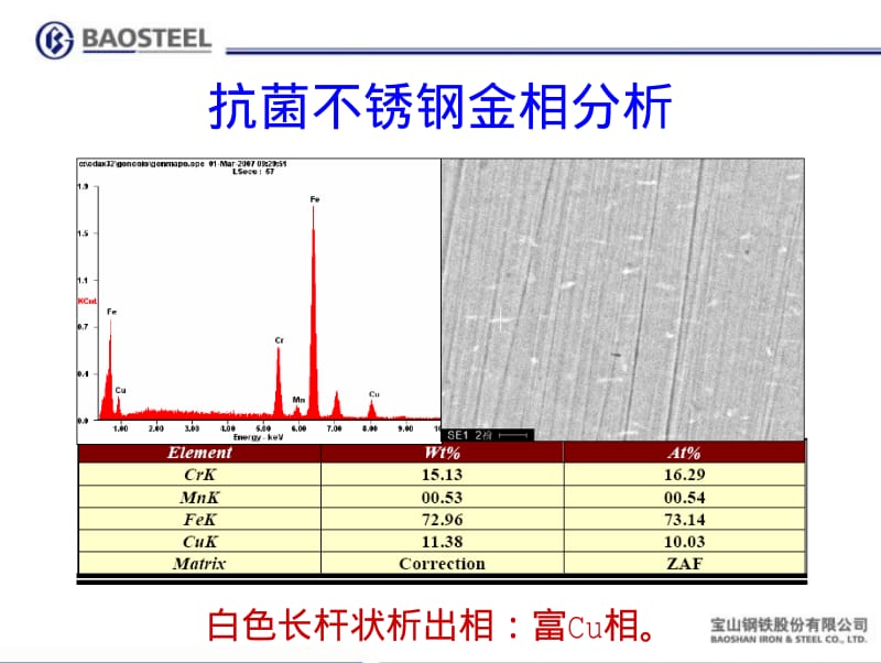 宝钢抗菌不锈钢介绍.pdf_第3页