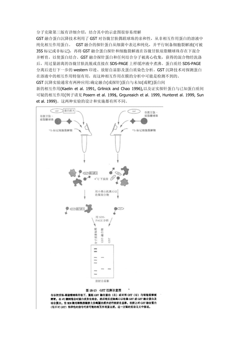 GST-Pull-Down原理.doc_第1页