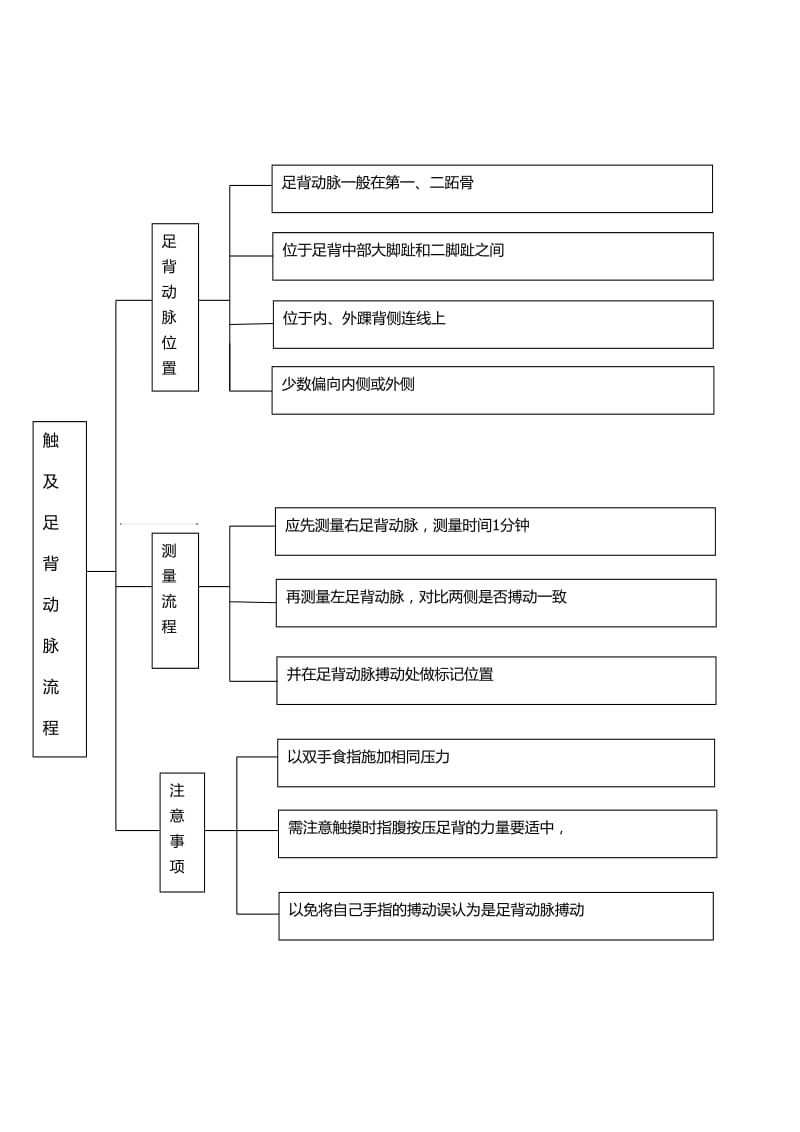 触及足背动脉流程.doc_第1页