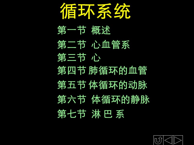 正常人体解剖学——循环系统.ppt_第1页