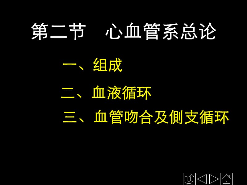 正常人体解剖学——循环系统.ppt_第3页